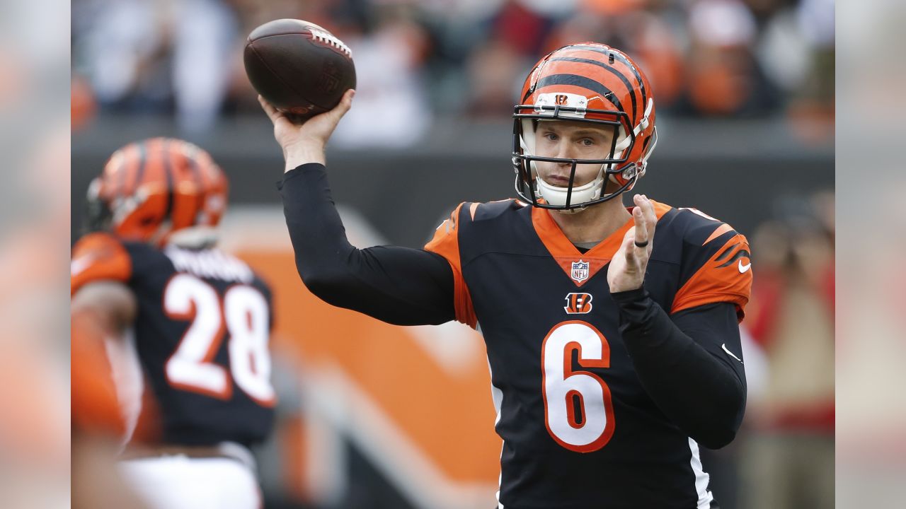 Cincinnati Bengals Quarterback Jeff Driskel 6 Editorial Stock Photo - Stock  Image