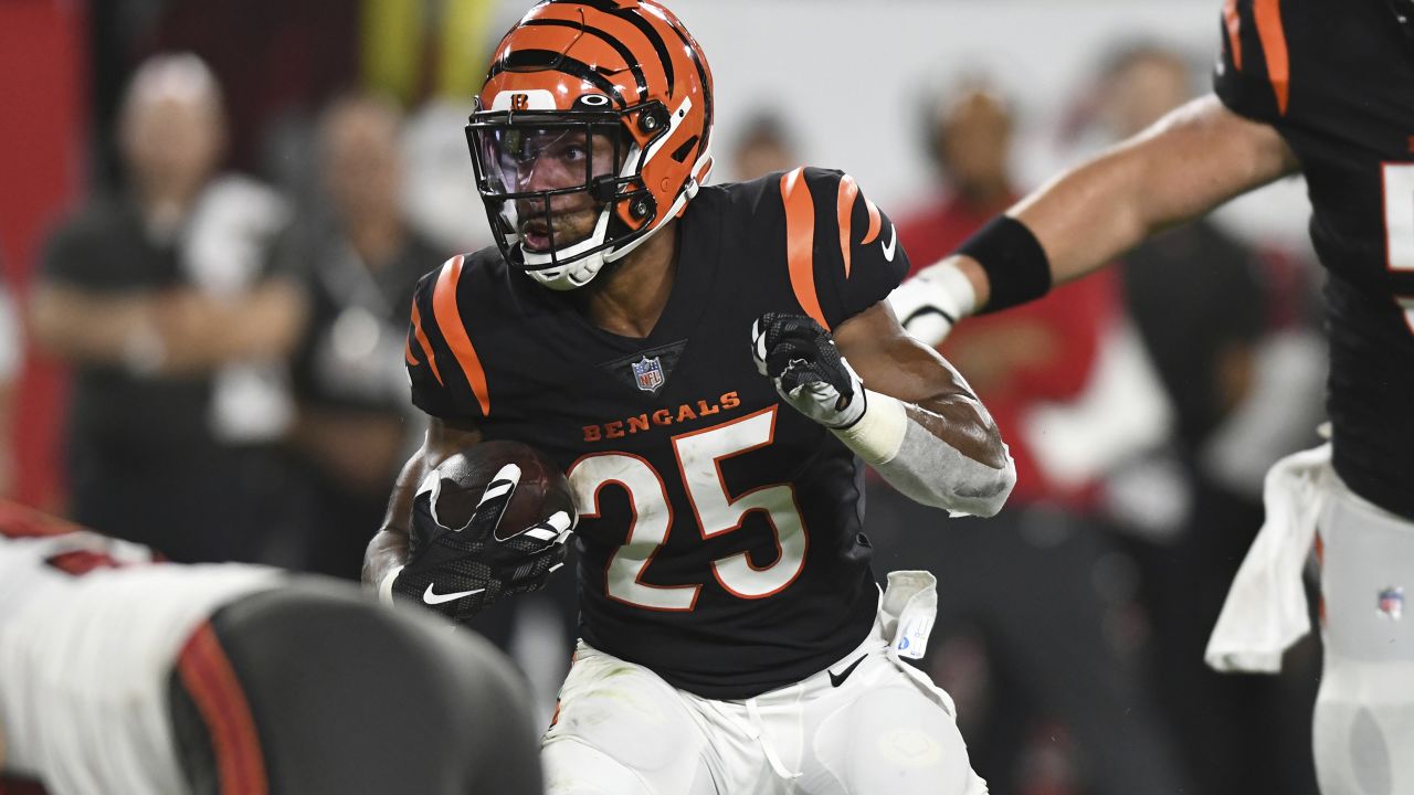 Tampa Bay Buccaneers wide receiver Mike Evans (13) plays against the  Cincinnati Bengals in a pre-season NFL football game, Saturday, Aug. 14,  2021 in Tampa, Fla. (AP Photo/Alex Menendez Stock Photo - Alamy