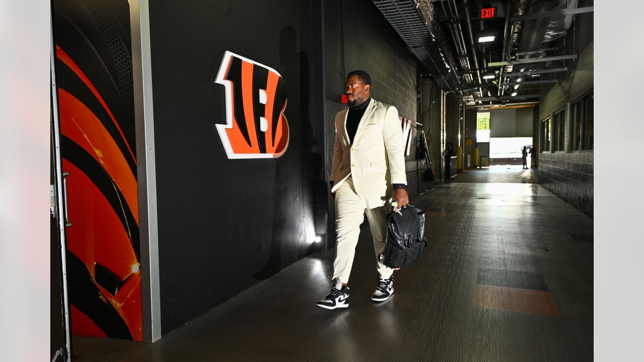 Bengals drop first look at repainted field for 'White Bengal