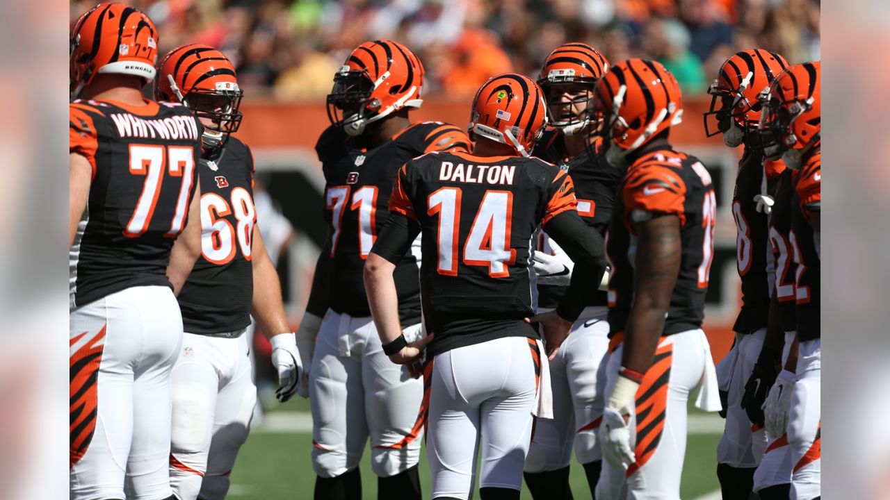 Cincinnati Bengals' Cedric Peerman, Adam Jones named to Pro Bowl 