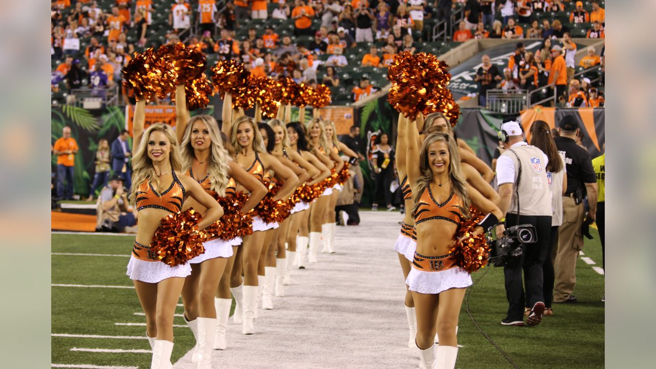 A Cincinnati Bengals cheerleader performs before an NFL football game  against the Baltimore Ravens, Sunday, Jan. 3, 2016, in Cincinnati. (AP  Photo/Frank Victores Stock Photo - Alamy