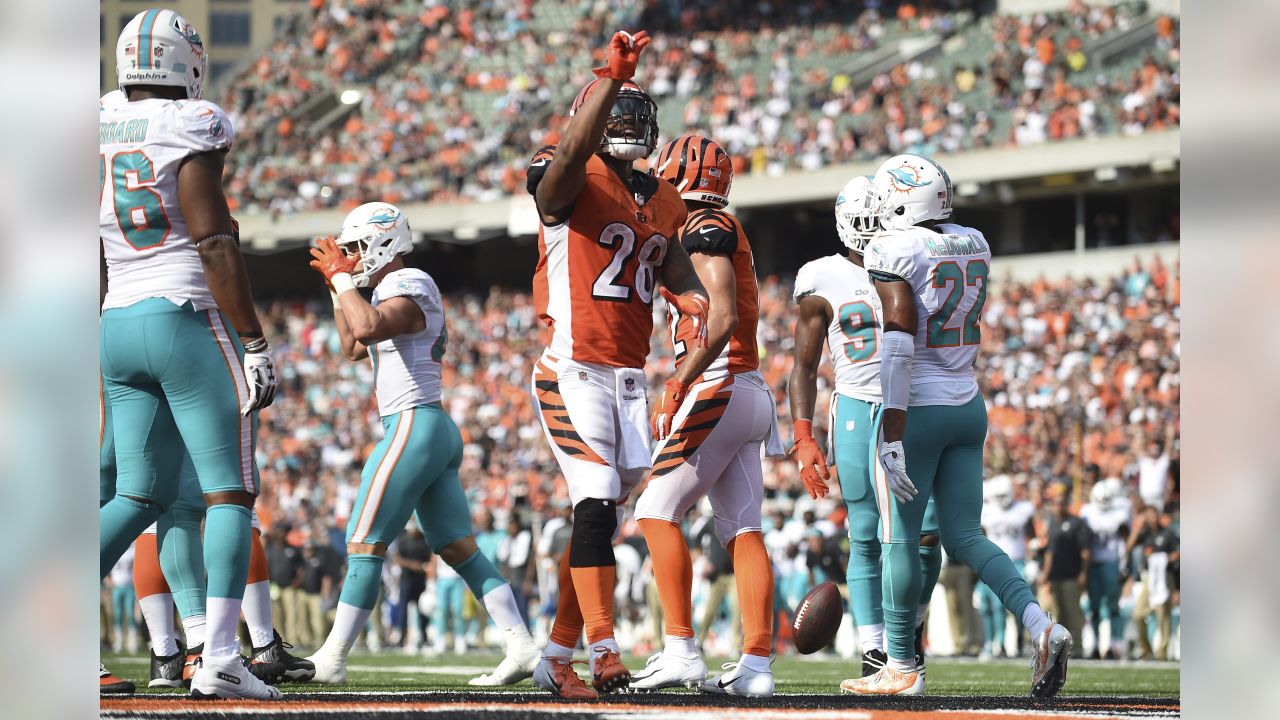 Cincinnati, Ohio, USA. 07th Oct, 2018. Miami Dolphins wide receiver Jakeem  Grant (19) celebrates with teammates after scoring a touchdown in a game  between the Miami Dolphins and the Cincinnati Bengals at