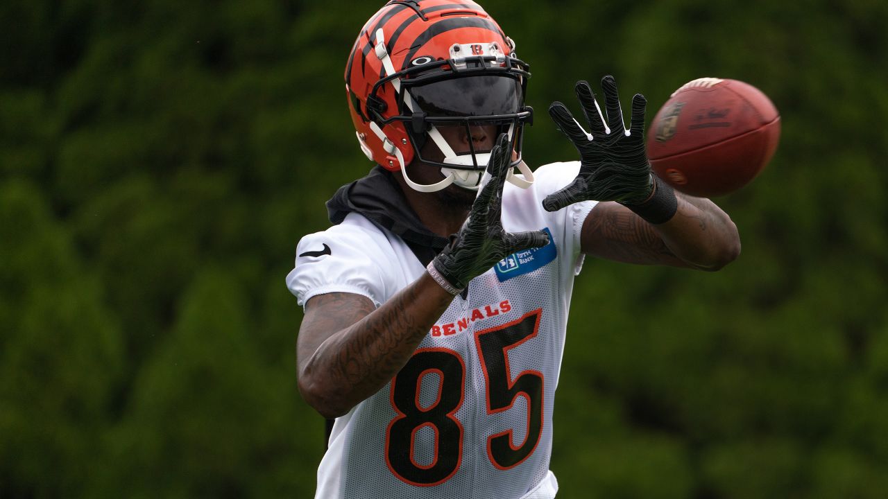 Cincinnati Bengals Quick Hits: Tee Higgins Impresses as Punter Competition  Heats Up - Sports Illustrated Cincinnati Bengals News, Analysis and More