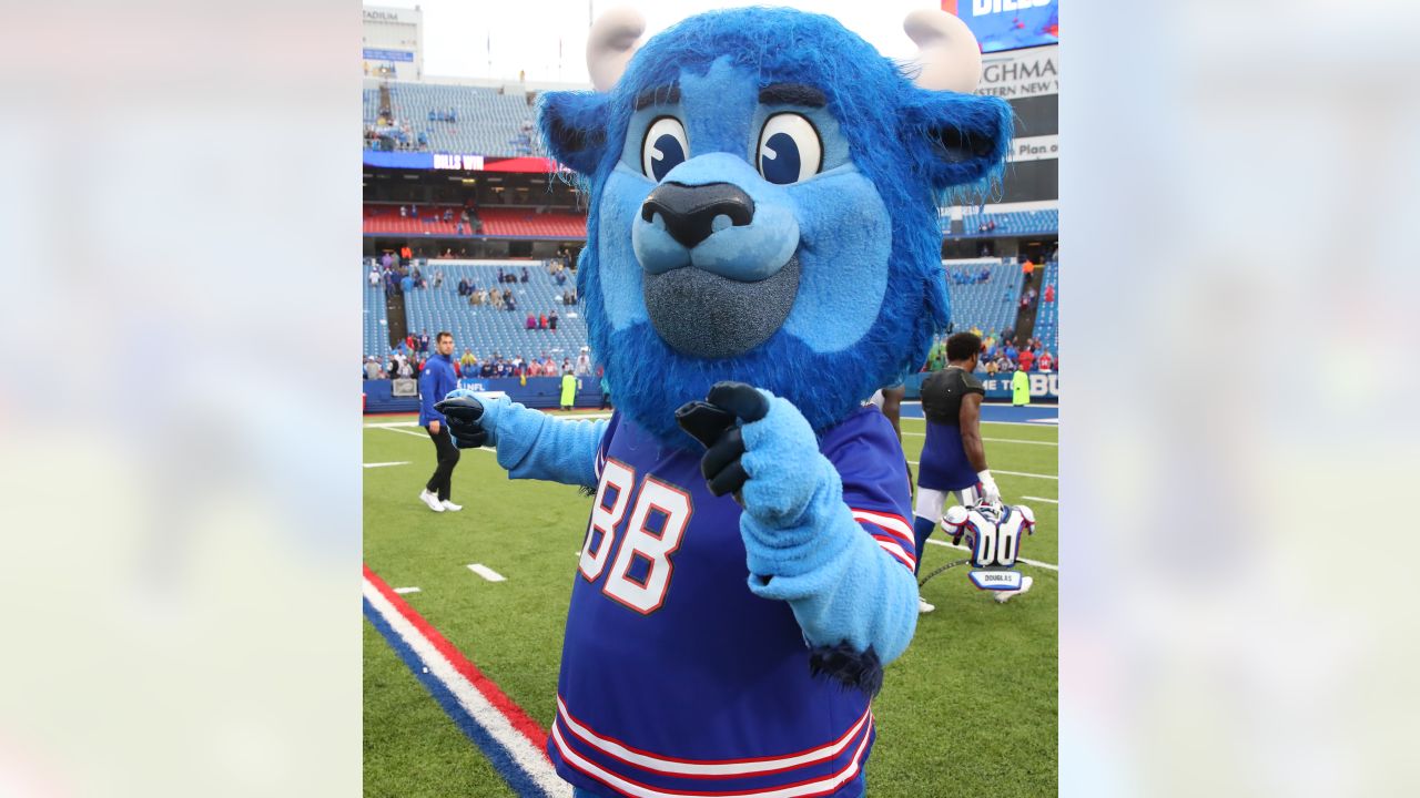 Buffalo Bills Mascot Billy Buffalo Runs the 40 Yard Dash 