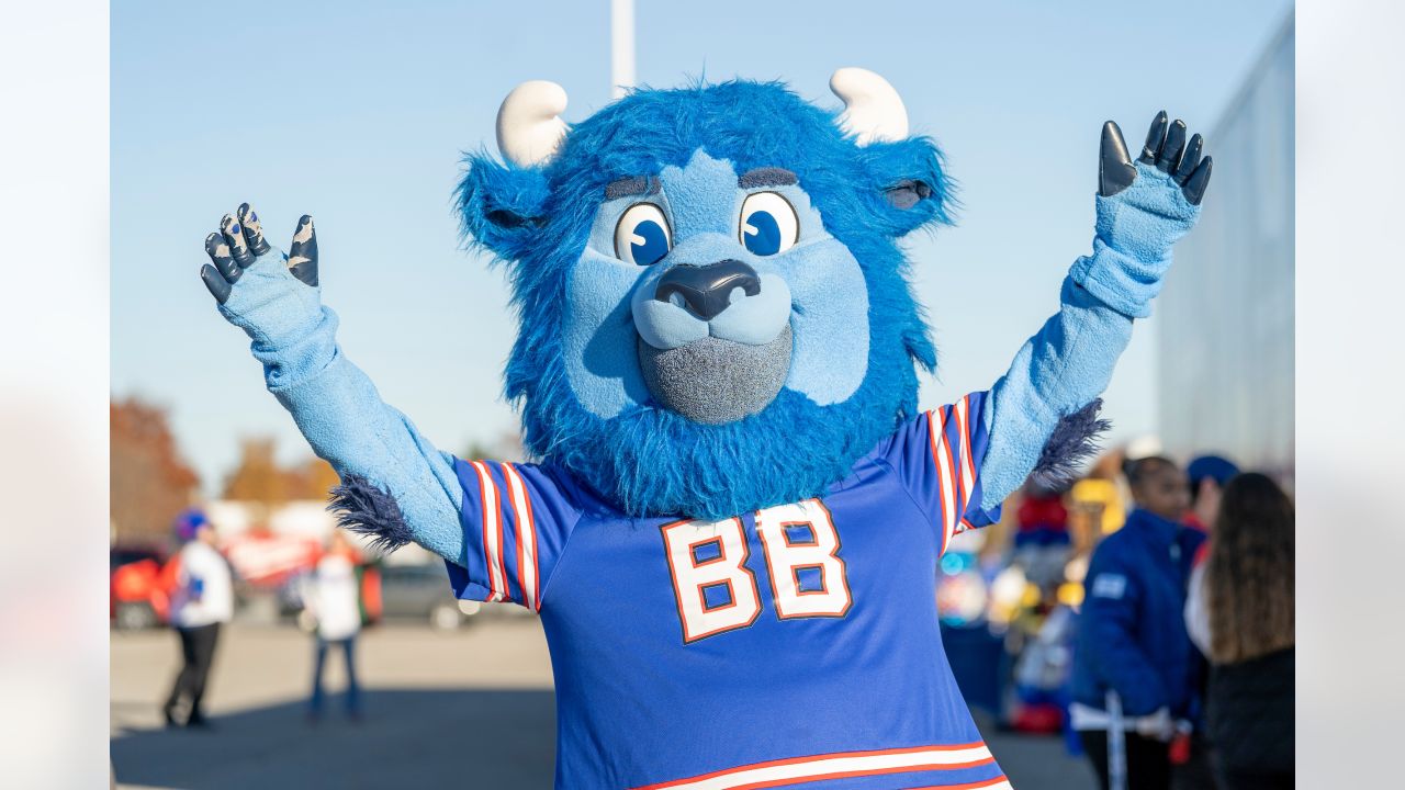 Buffalo Bills Mascot Billy Buffalo Runs the 40 Yard Dash 