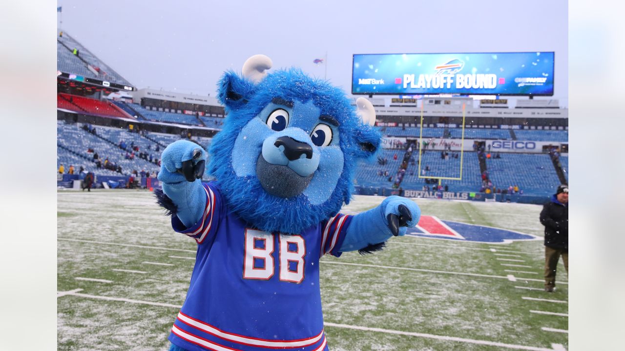 Mascot Billy Buffalo of the Buffalo Bills runs onto the field prior News  Photo - Getty Images