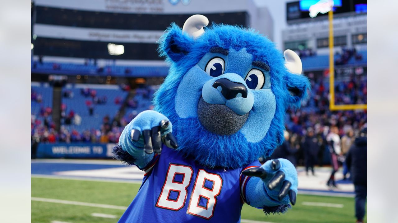 Buffalo Bills Mascot Billy Buffalo Runs the 40 Yard Dash 