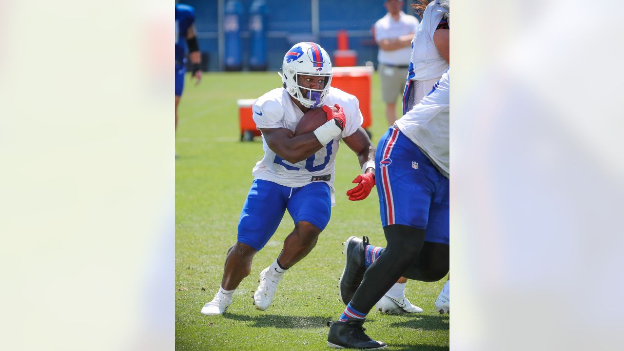 Bruce Smith attends Bills practice, gives thoughts on Greg