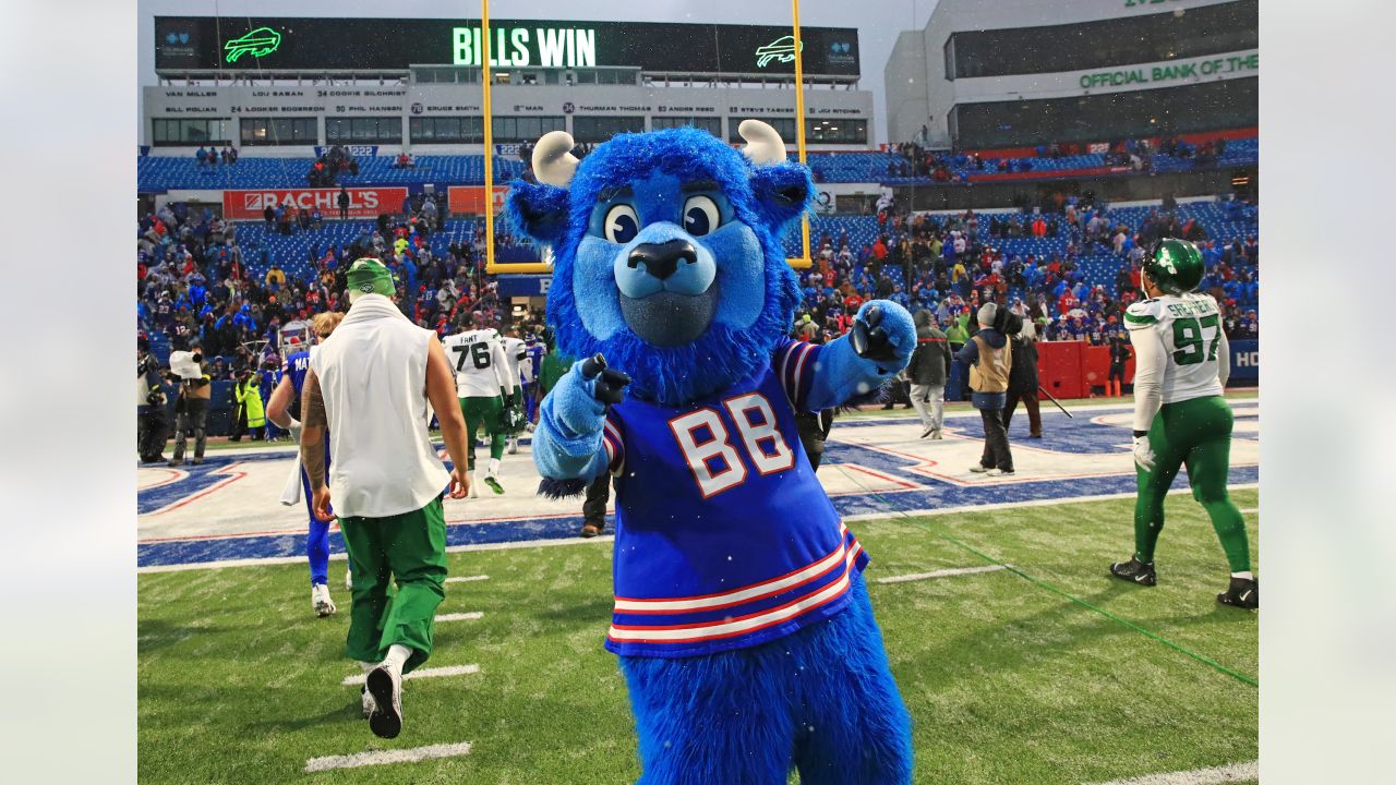 Buffalo Bills Mascot Billy Buffalo Runs the 40 Yard Dash 