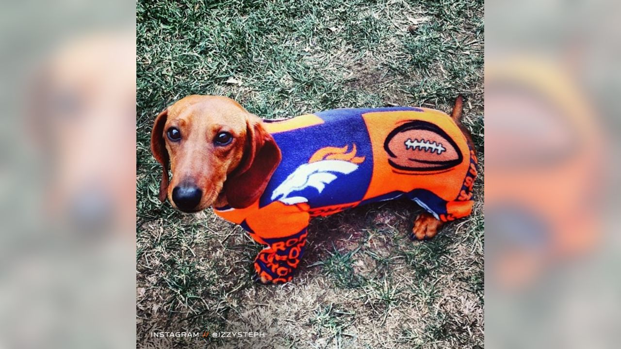 Denver Broncos Dog Jersey - Orange