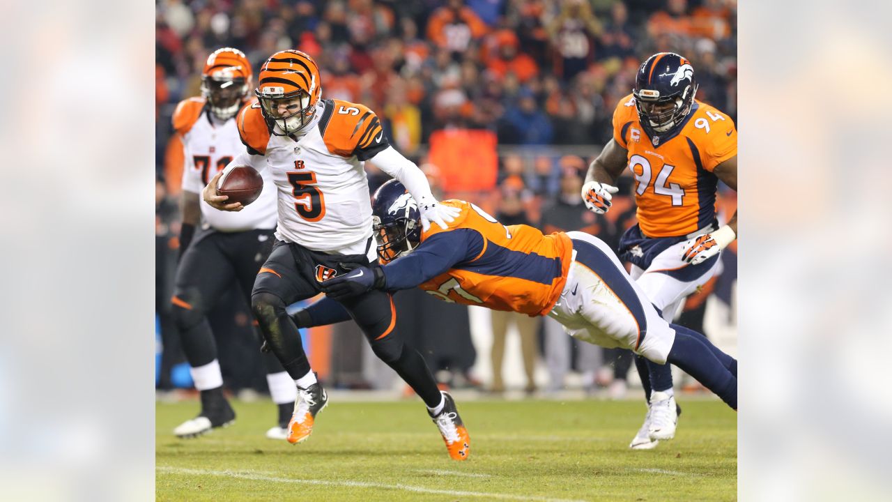 Bengals vs. Broncos 2015 final score 20-17: Denver FINALLY clinches playoff  spot in a wild overtime win 