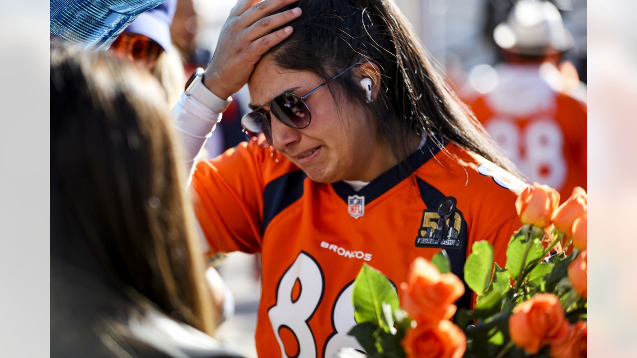 Denver Broncos Tribute -- by Thomas Jordan Gallery