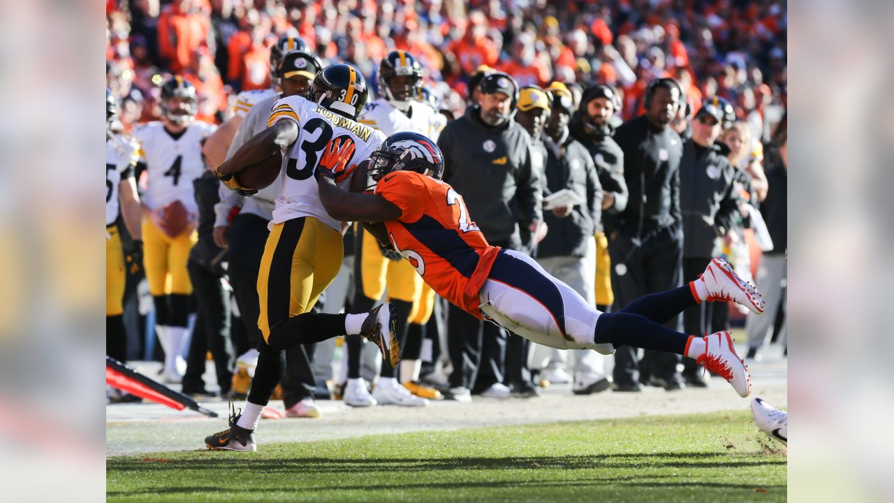 Former South Carolina Gamecocks safety Darian Stewart plays big part in  Broncos' Super Bowl win - Garnet And Black Attack