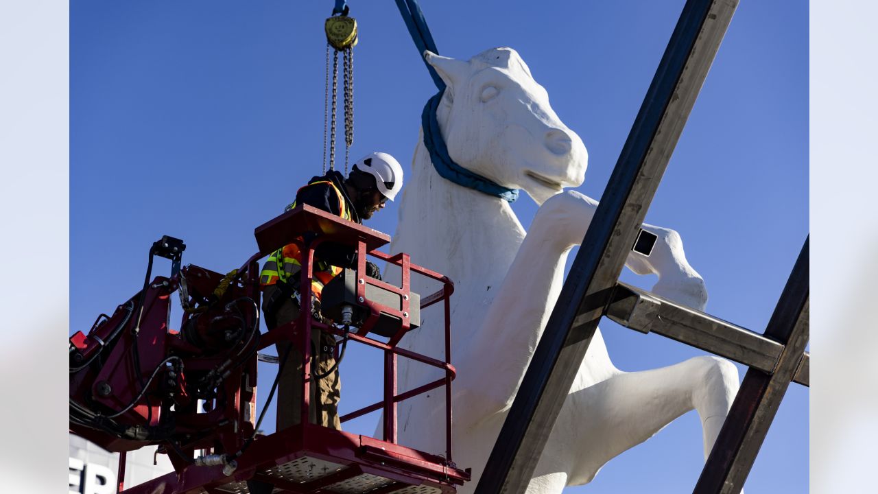 Bucky the Bronco Will Be Back With Denver Broncos at Mile High