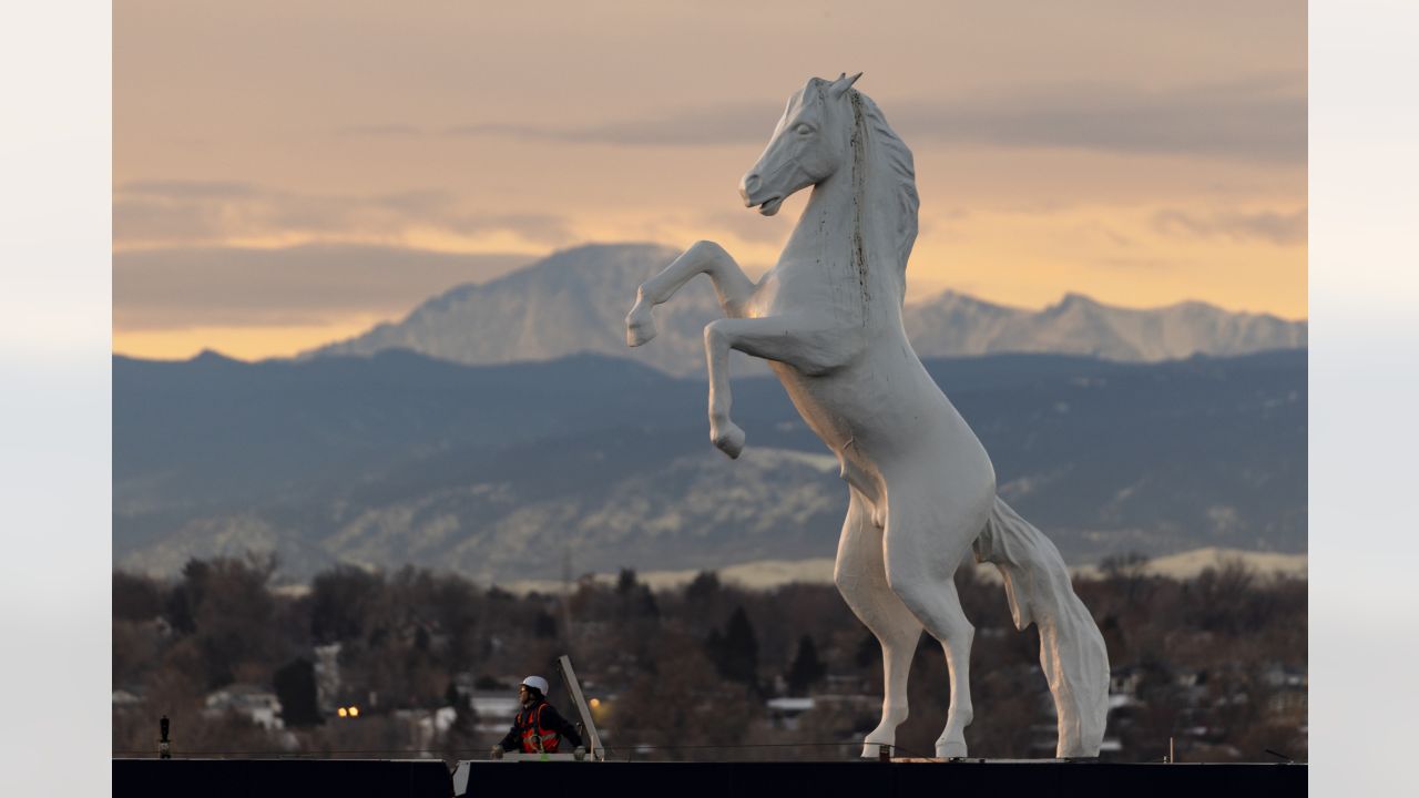 Bucky the Bronco Will Be Back With Denver Broncos at Mile High Stadium