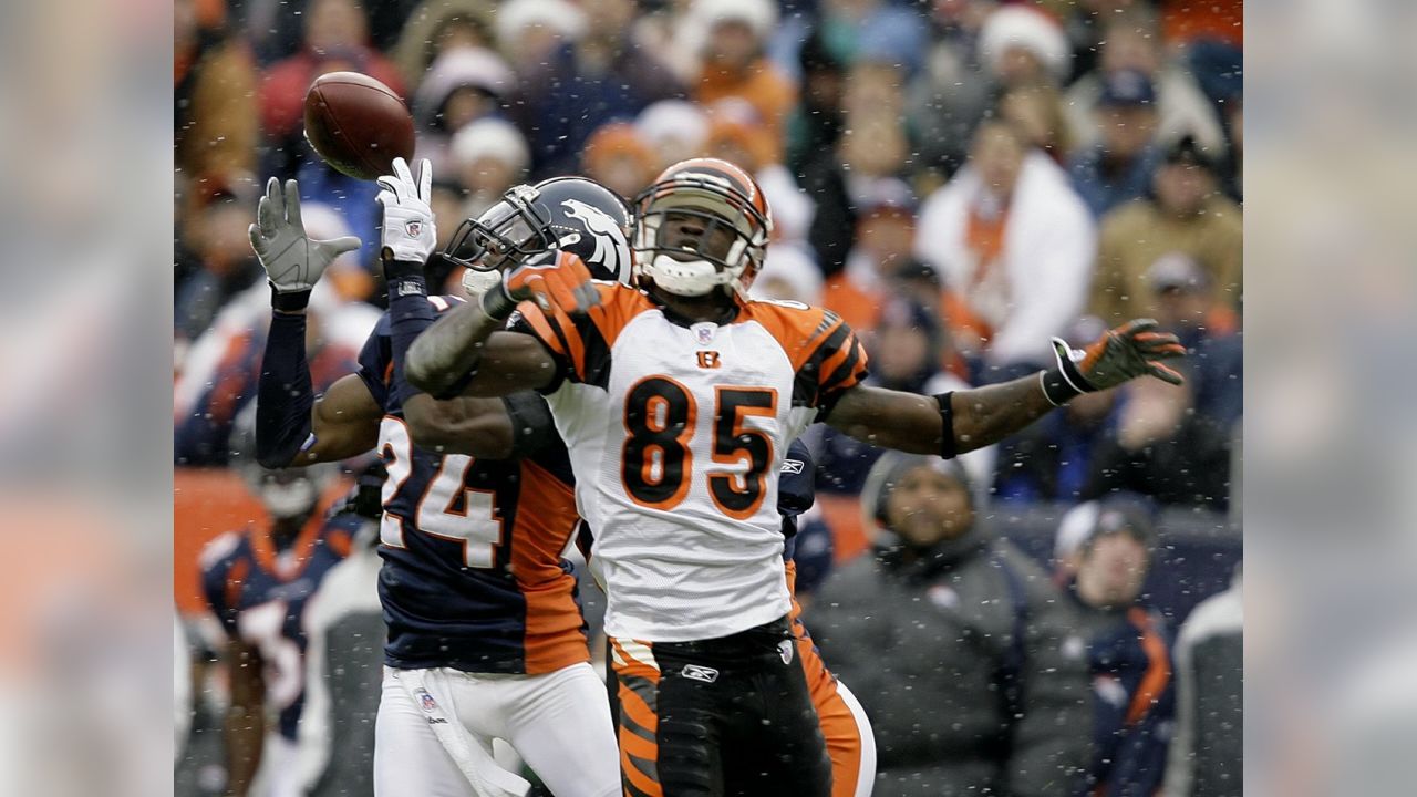 Champ Bailey editorial stock photo. Image of football - 173651908