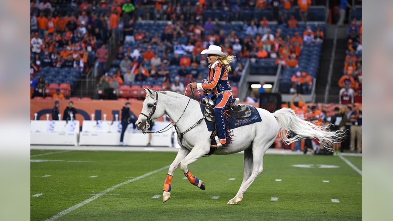 Download Thunder Mascot Denver Broncos Wallpaper