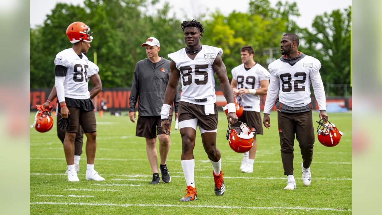 TE Seth DeValve jumped out at Browns camp, PFF News & Analysis