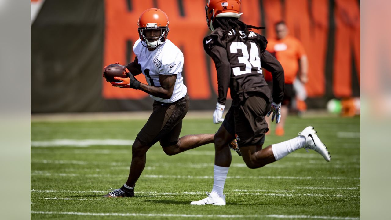 Antonio Callaway drawing good reviews on second day of Browns OTA's