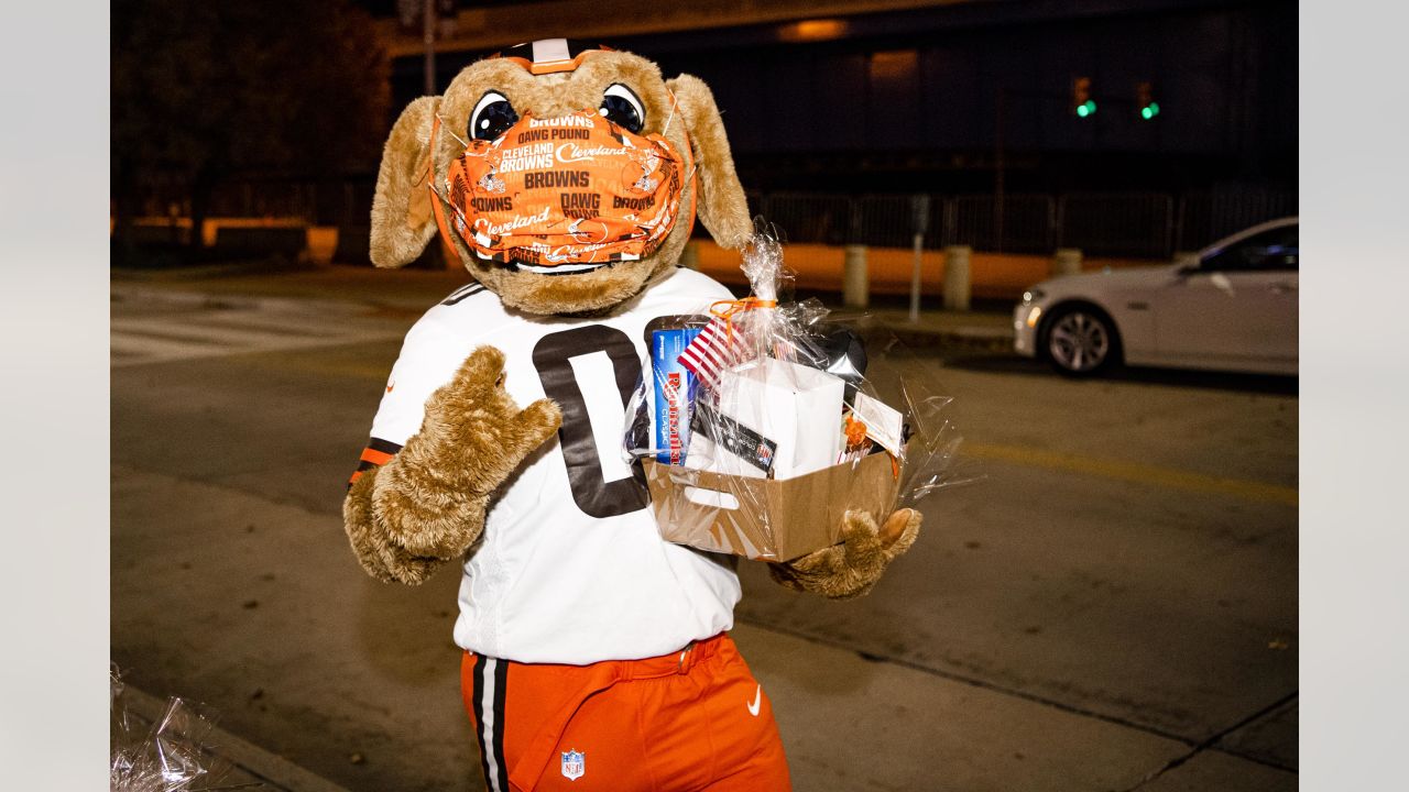 The Ohio National Guard: Cleveland Browns 'salute' military service  members, veterans