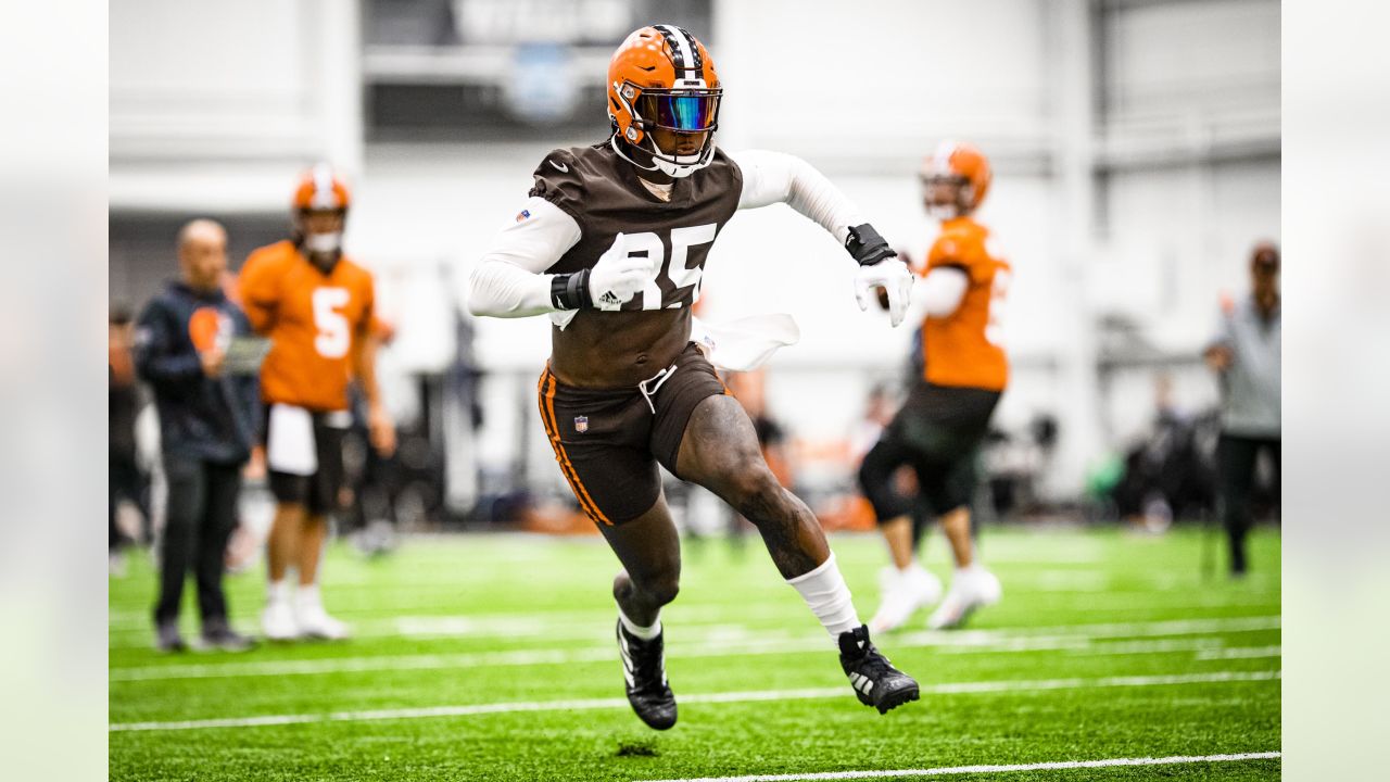 Browns place franchise tag on tight end David Njoku - The San Diego  Union-Tribune