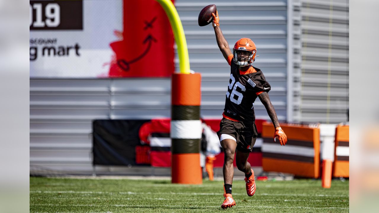 Cleveland Browns wide receiver Jarvis Landry celebrates after the Browns  defeated the Buffalo Bills 19-16 in an NFL football game, Sunday, Nov. 10,  2019, in Cleveland. (AP Photo/David Richard Stock Photo - Alamy