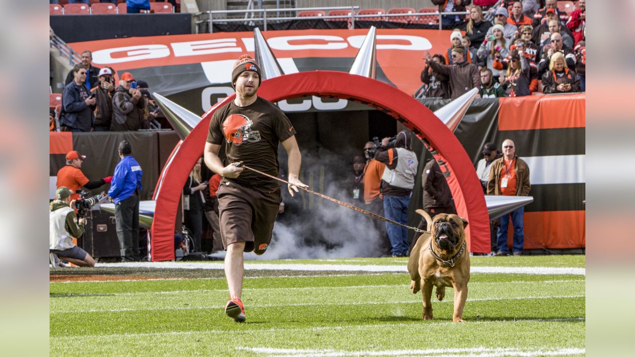 Browns will introduce live 'dawg' mascot 