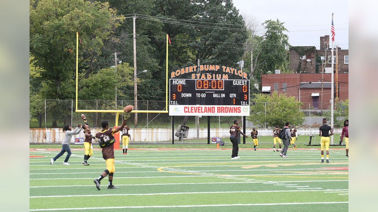 Year 2: Browns Field Project