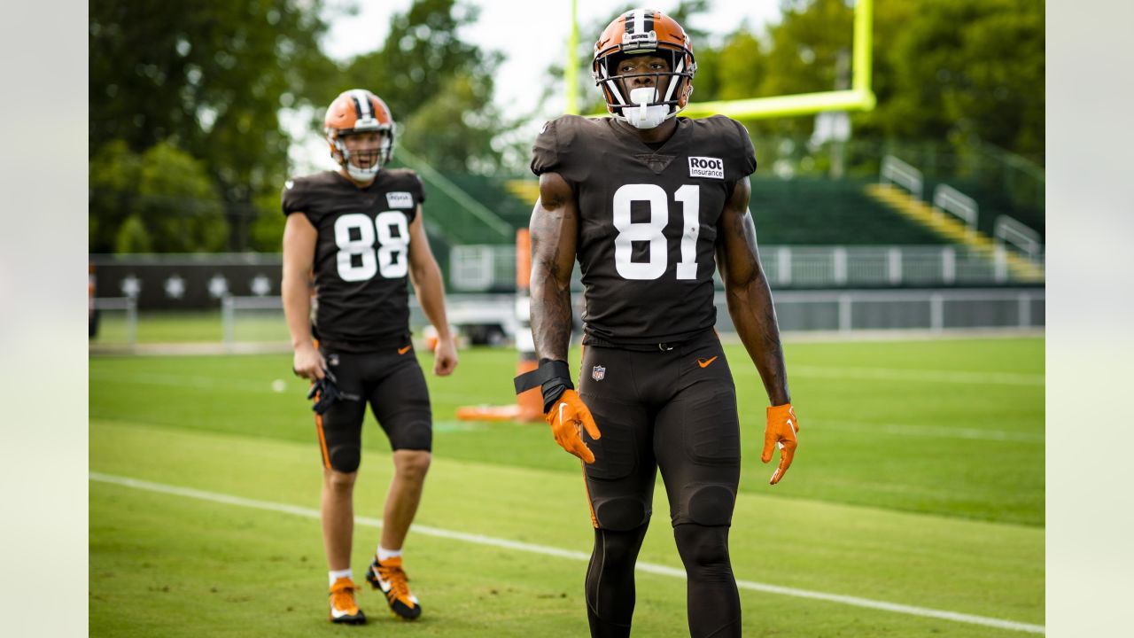 Cleveland Browns tight end Zaire Mitchell-Paden (81) runs on the