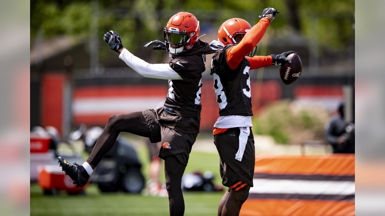 Photos: Browns Wide Receivers for 2019 Training Camp