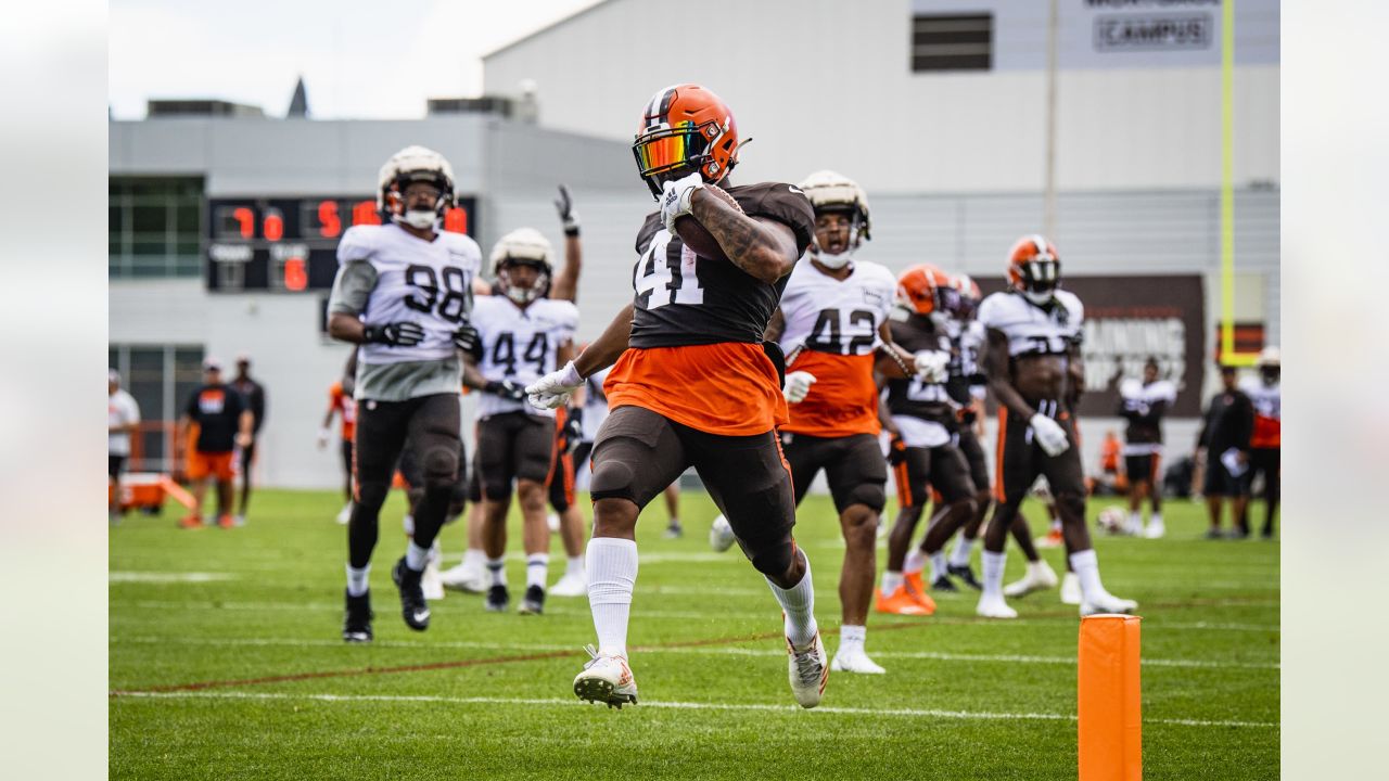 Browns Training Camp Daily is back on Bally Sports Great Lakes NFL - Bally  Sports