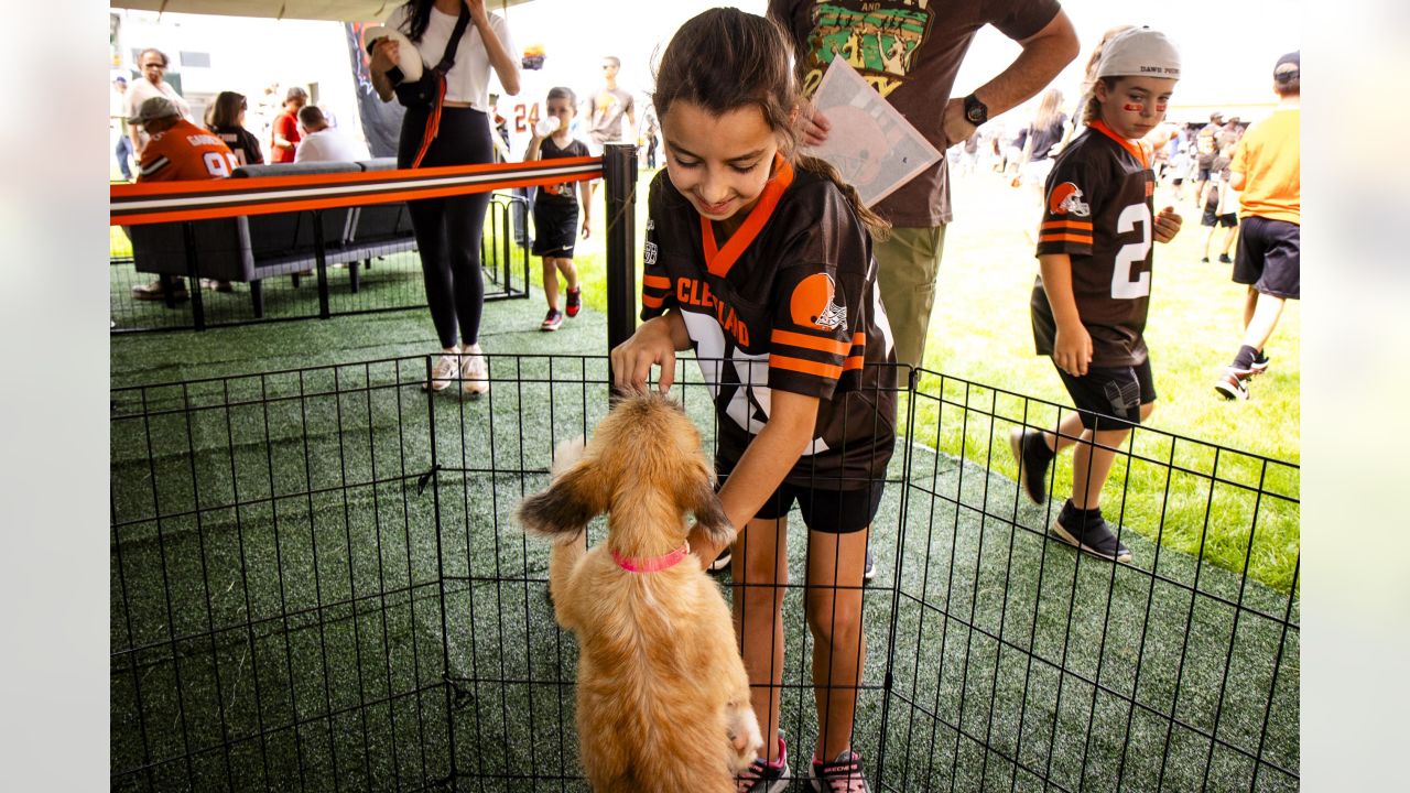 In the dog days of summer, the Cleveland Browns' puppy adoption