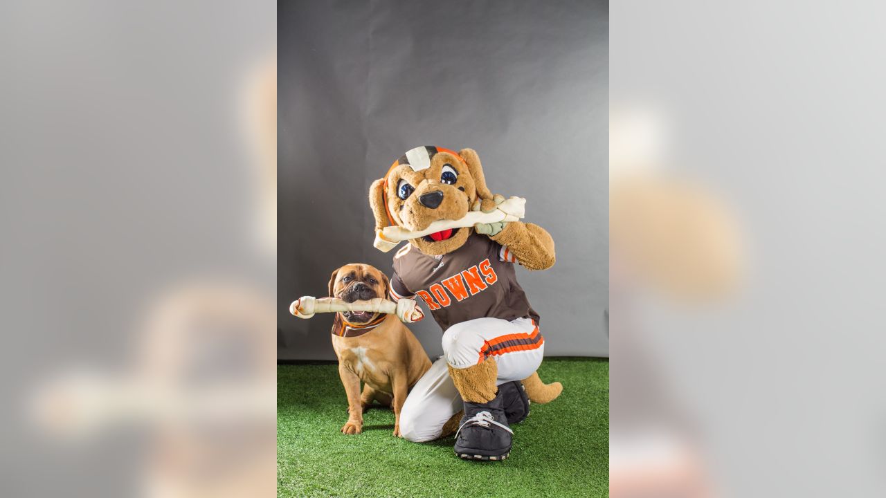 Swagger, the Cleveland Browns bullmastiff mascot, is retiring after  Sunday's game