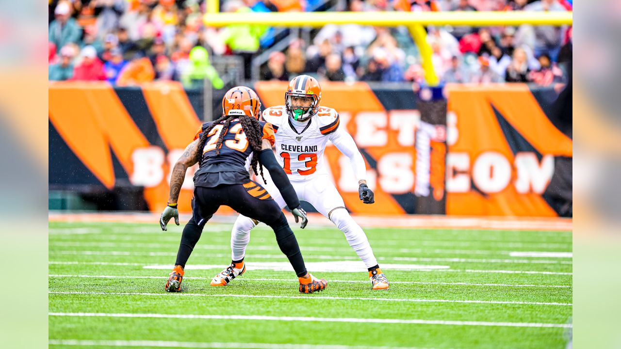 Photos: Week 17 - Browns at Bengals Game Action