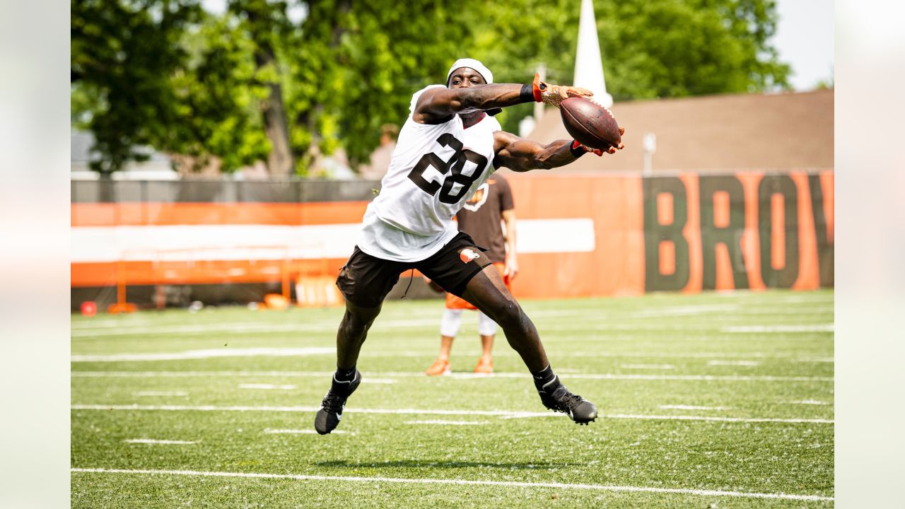 Cleveland Browns Dawg Tags: Grant Delpit expects to be fully healthy