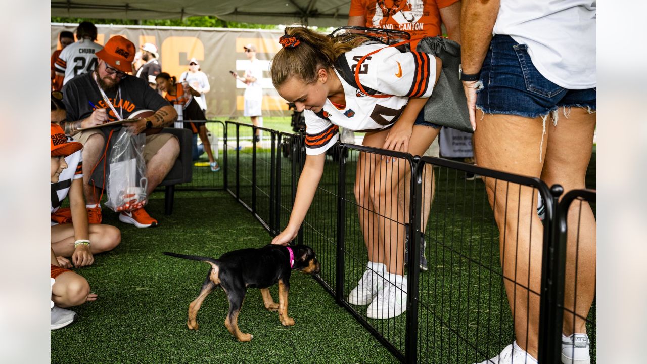 In the dog days of summer, the Cleveland Browns' puppy adoption