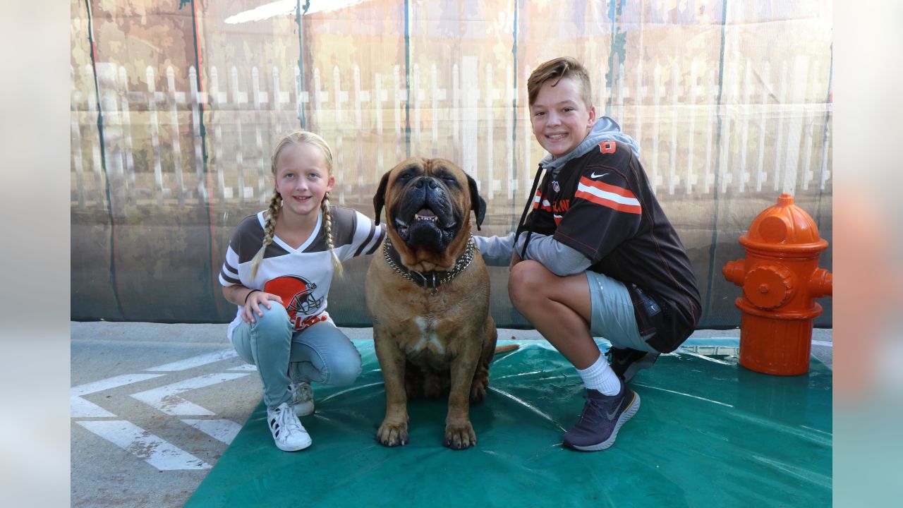 Cleveland Browns on X: We're heartbroken by the passing of our beloved  mascot, Swagger. As a constant presence on gameday and the leader of the  Dawg Pound, Swagger was a proud member