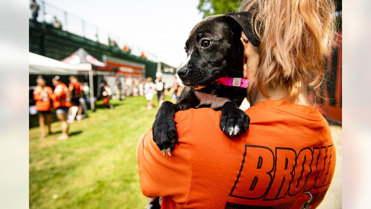 Sugardale Foods - The Sugardale Puppy Pound at Cleveland Browns