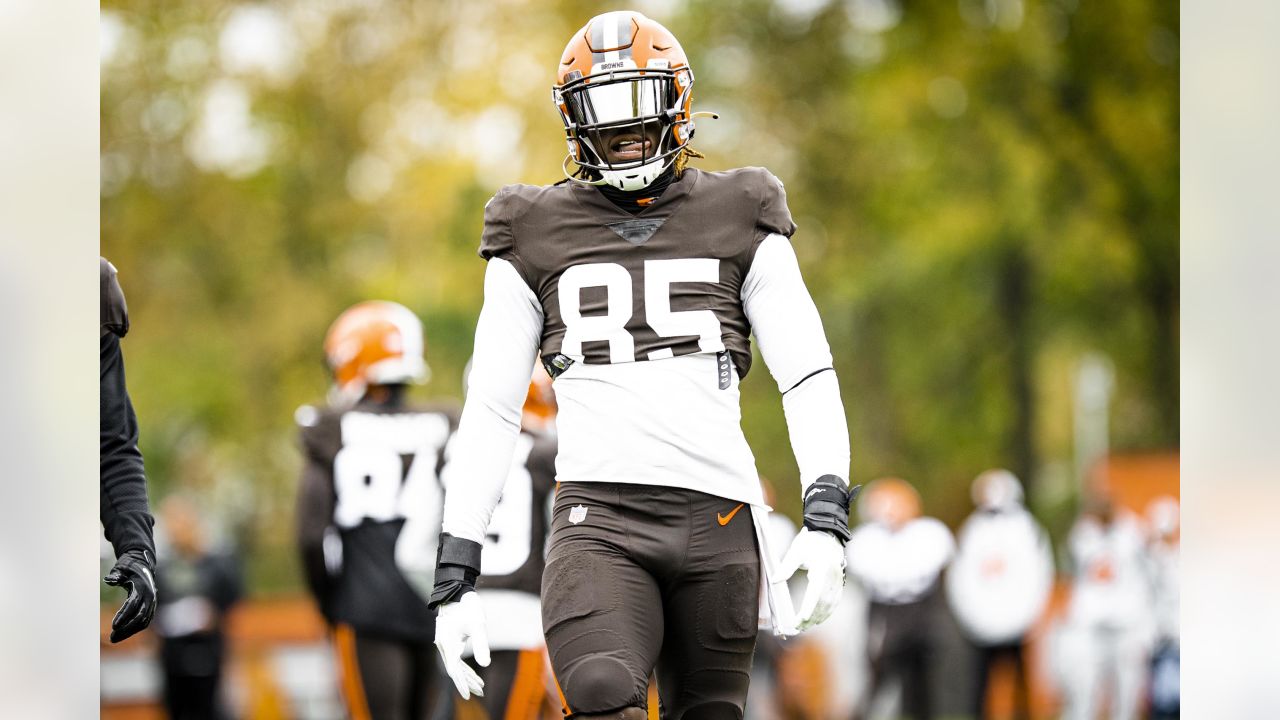 Browns' D'Ernest Johnson did this trying to get tryout with AAF team years  before breakout game