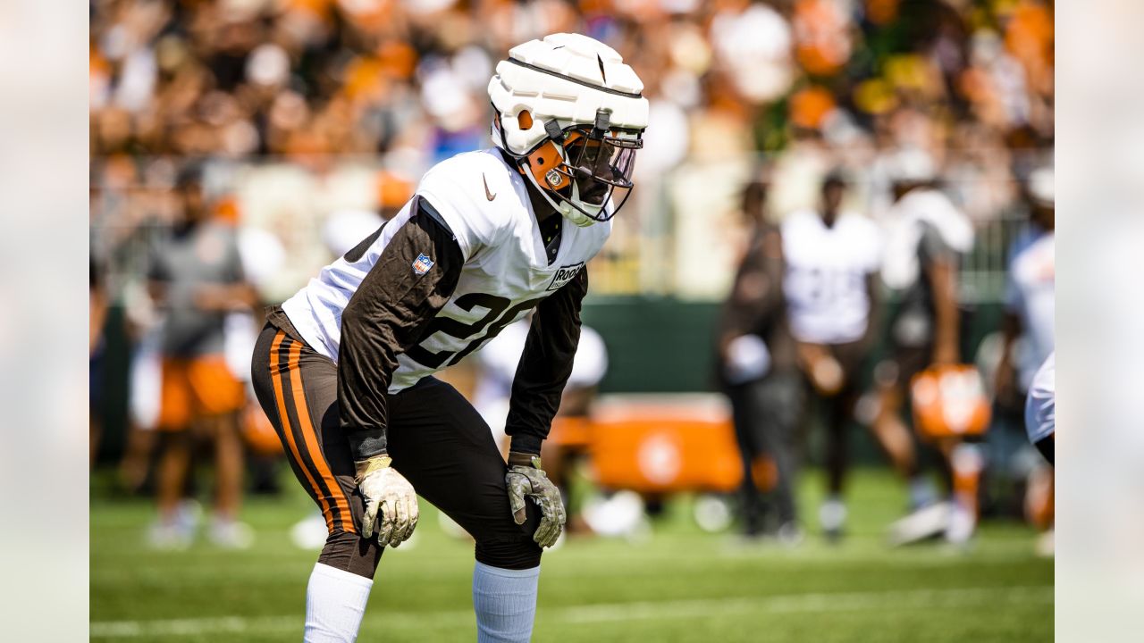 AFC North: Pre-camp look at the Cleveland Browns - Steel City Underground