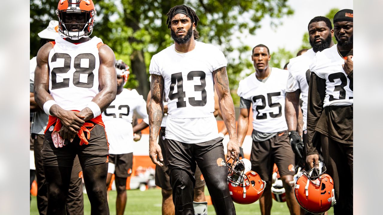 Cleveland Browns free safety John Johnson (43) celebrates with