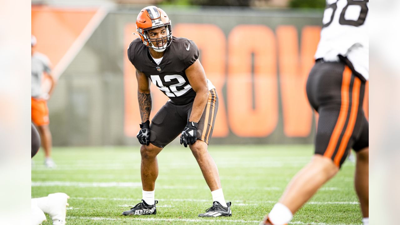 Interview: Browns linebacker Tony Fields II - Dawgs By Nature