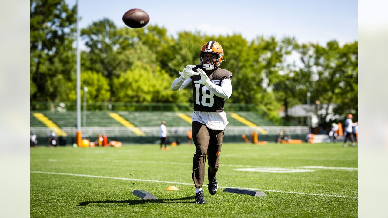 Browns WR Marquise Goodwin says he's lost none of his world-class speed at  the age of 32