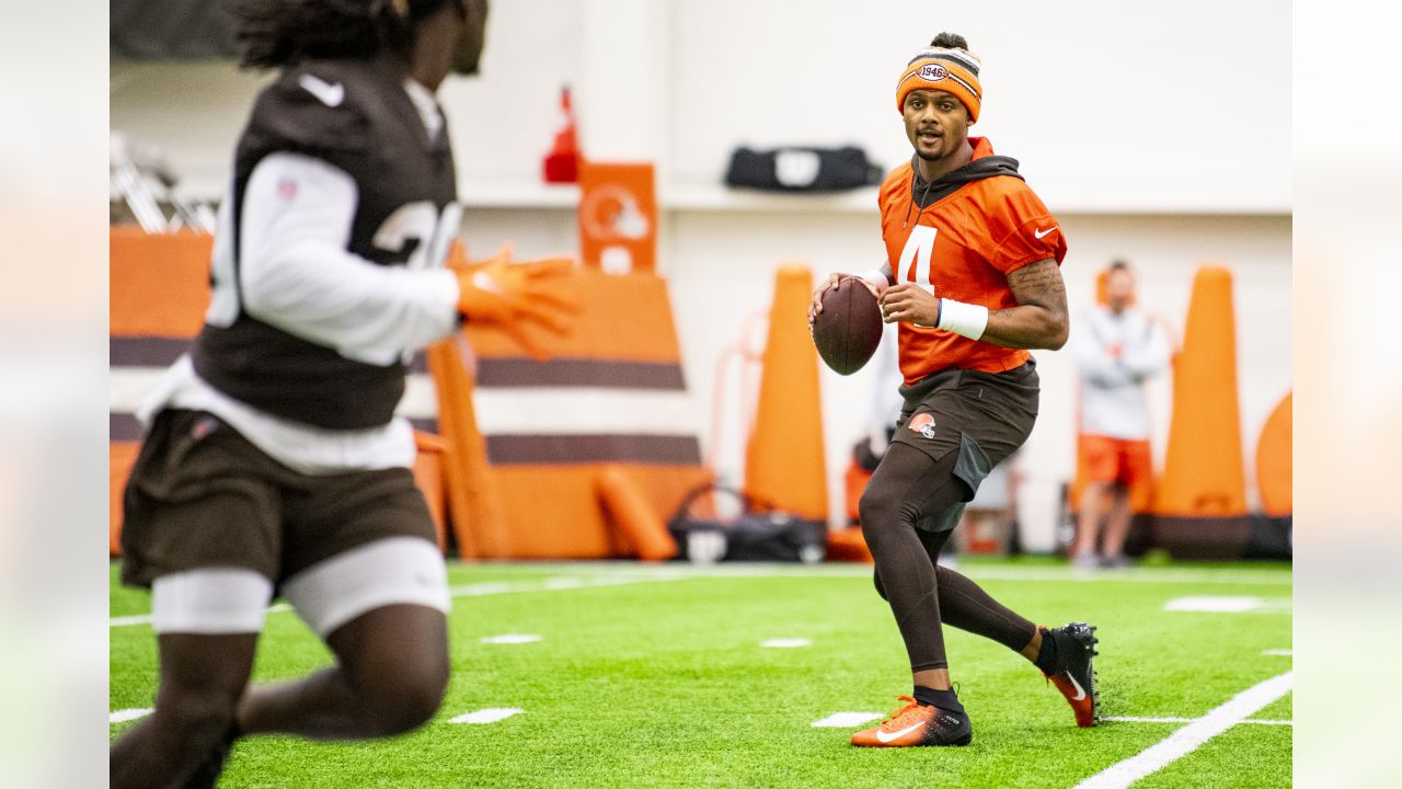 MIAMI GARDENS, FL - NOVEMBER 13: Cleveland Browns safety John Johnson III ( 43) backpedals as he defends in the secondary during the game between the Cleveland  Browns and the Miami Dolphins on