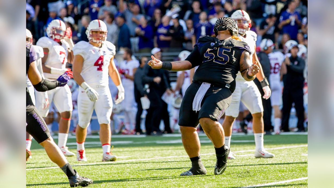 Danny Shelton to Browns: Full Draft-Pick Breakdown, News, Scores,  Highlights, Stats, and Rumors