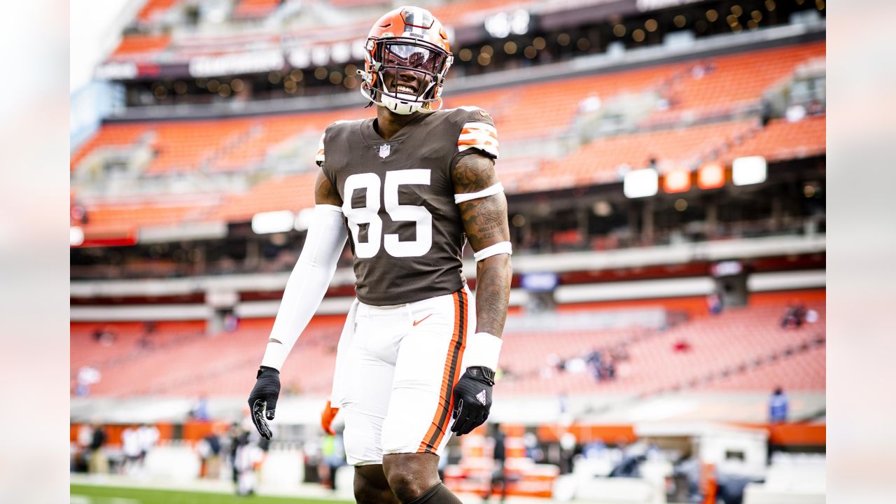 Browns 2021 position preview: Analyzing the tight ends