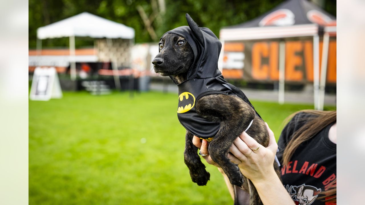 Sugardale Foods - The Sugardale Puppy Pound at Cleveland Browns Training  Camp is the perfect place to adopt your new best friend! Northeast Ohio  SPCA No-Kill Pet Shelter is working hard to