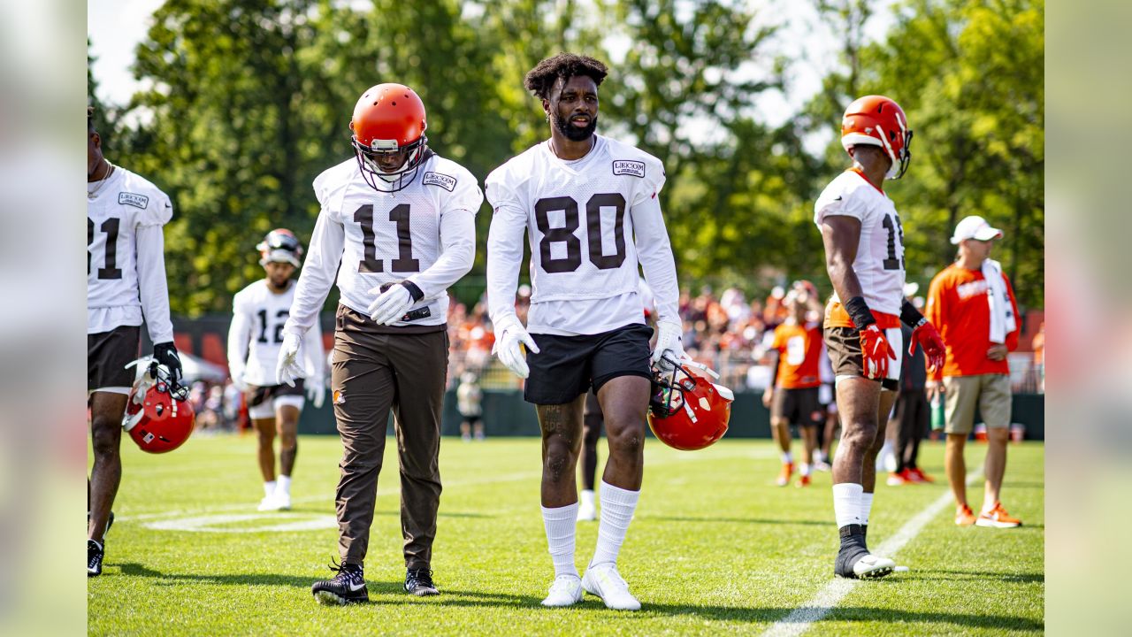 Cleveland Browns wide receiver Jarvis Landry celebrates after the Browns  defeated the Buffalo Bills 19-16 in an NFL football game, Sunday, Nov. 10,  2019, in Cleveland. (AP Photo/David Richard Stock Photo - Alamy