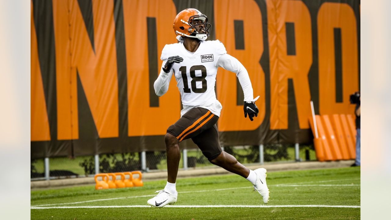 Browns news: Grant Delpit injury, roster watch, preseason ending