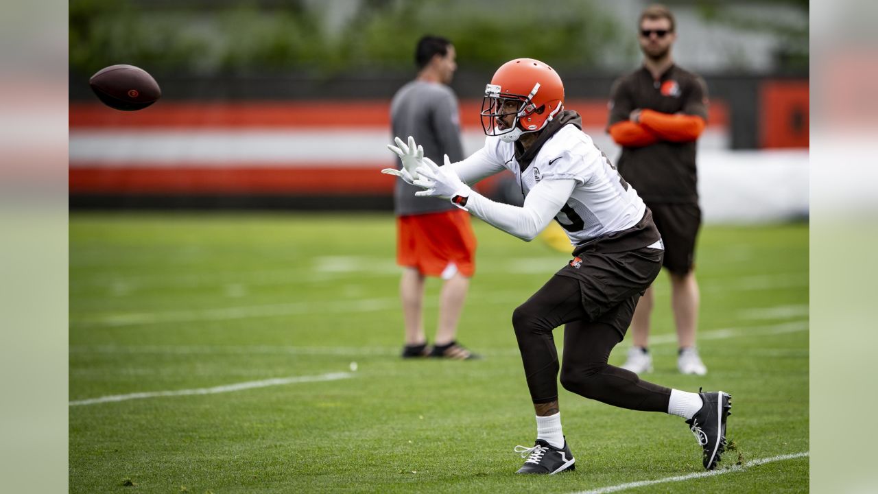 Photos: Browns Wide Receivers for 2019 Training Camp